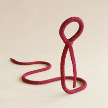 Load image into Gallery viewer, Iron Wine Shelf